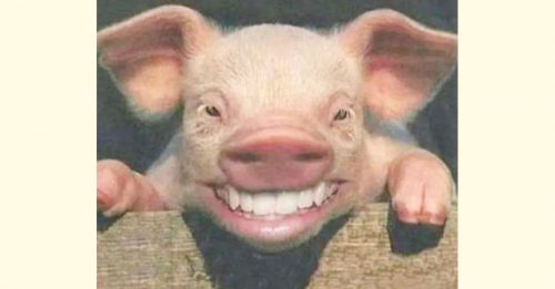 ◤全球大流行◢ 天津新冠感染 是北美猪头害的！