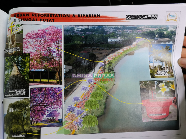 汉都亚再也市议会计划在沿湖一带种植风铃木及柳树。
