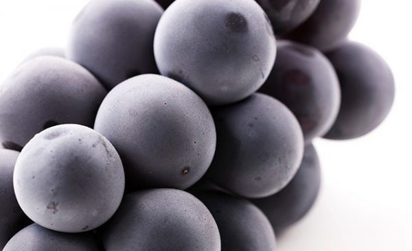 葡萄上的“白色粉末”有保鲜功能，冷藏时无须清洗。