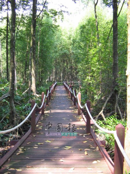 距离太平不远的十八丁红树林，是全马最早被列入保护区的红树林，也是世界上保存得最好的红树林区之一，这里是沼泽红树的自然生态和生命源地。