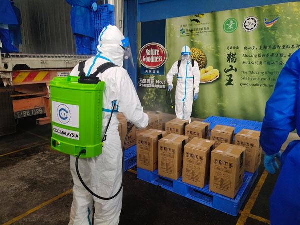 中检集团马来西亚公司的消毒人员，为一箱箱的冷冻榴梿果泥进行消毒。