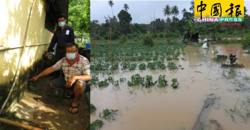 【今日马六甲头条】沟渠遭堵 排水受阻  阿依沙叻新村30亩菜园淹水
