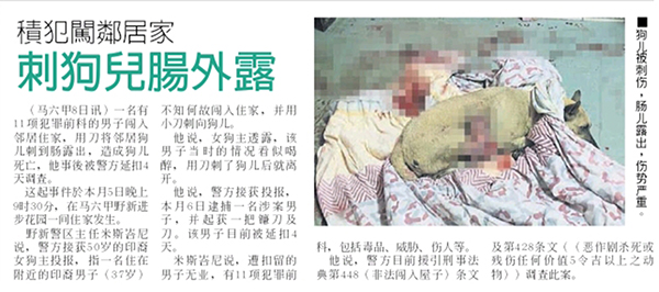《中国报》报导有关醉酒邻居刺狗儿，导致狗儿肠脏外露新闻。