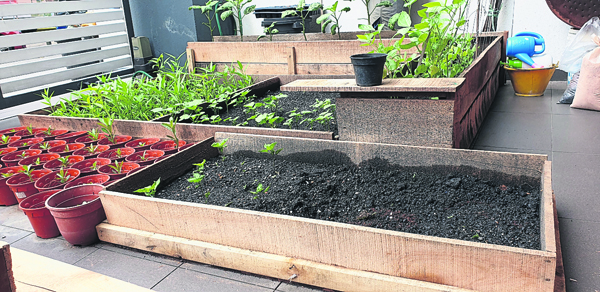 偌大的种植箱可以自由迁移，并配搭出理想都市菜园。
