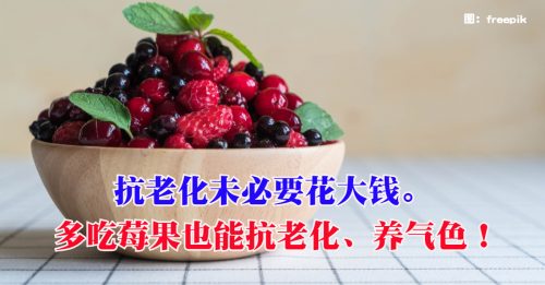 【健康百科】这些莓果抗老化！