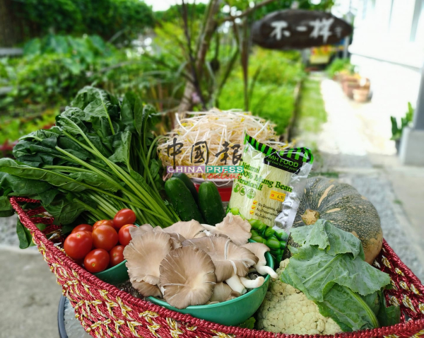 马六甲肯纳儿协会庇护工场推出的“无农药蔬菜箱”，每周提供不同的蔬菜，且物超所值。