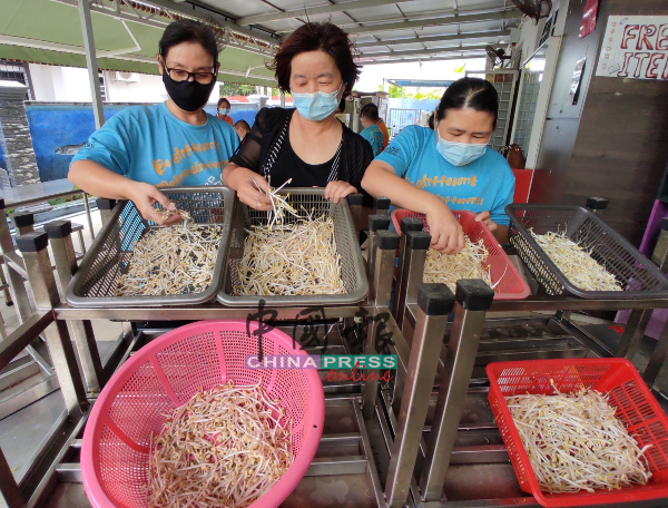 ■杨丽娟（左起）、黄玉环及文美伶，检查刚处理好的有机豆芽。