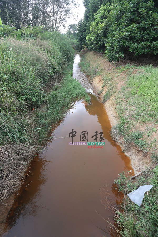 流过阿依沙叻的河水呈褐色，菜农不敢用来灌溉。