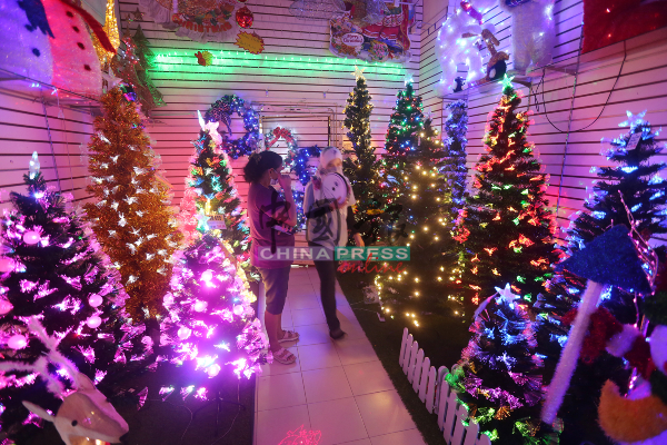 安洋贸易摆满无数的圣诞树，并挂上小灯泡点亮，非常抢眼。