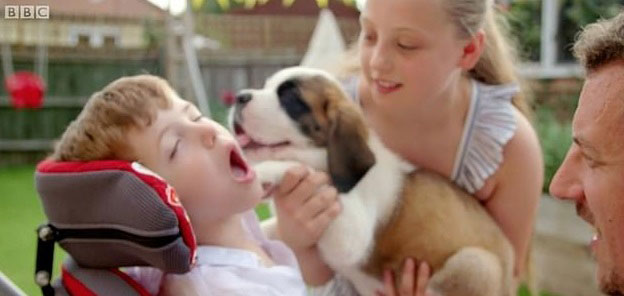 小狗“胡迪”与男童德克斯特初相见，就热情地亲吻他小脸。
