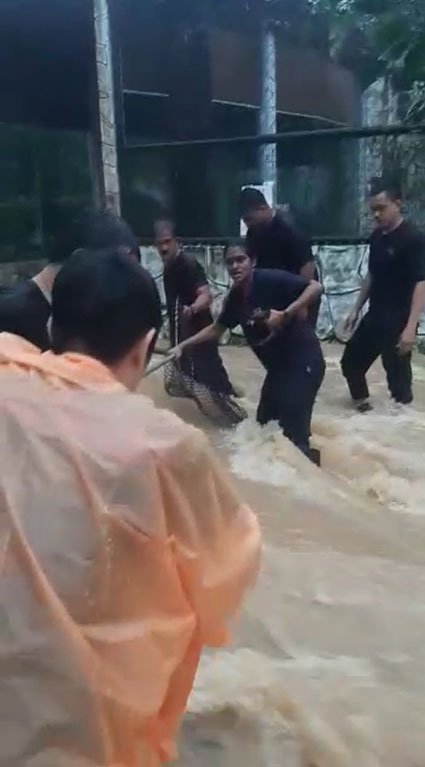 员工们发挥合作精神，将小动物装入宠物笼子内。