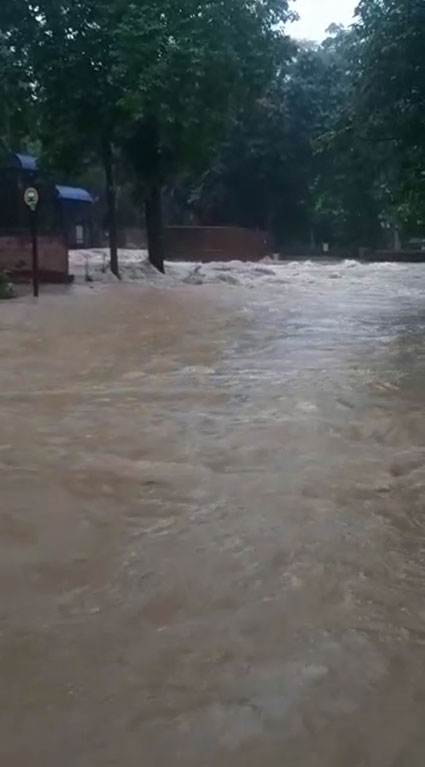 国家动物园发生水灾。