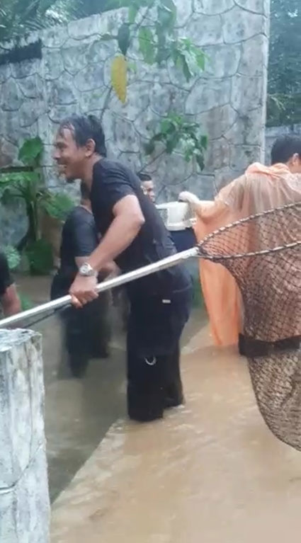 员工们拿起渔网竿，救出受困的小动物。