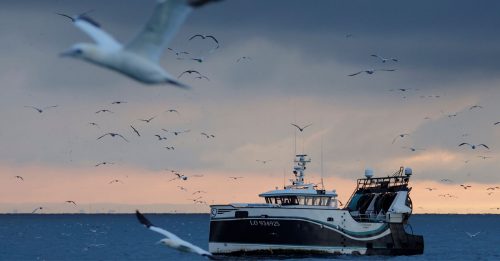 英海軍正處待命狀態  脫歐即對歐盟漁民執法