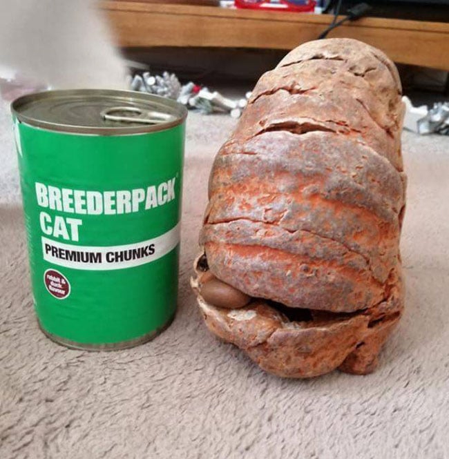 英国母女在海边捡到疑似化石的物品，竟是二战时期留下来的手榴弹。