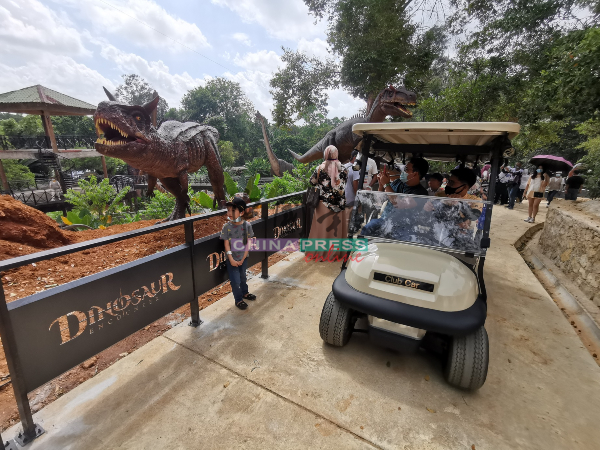 电动车服务载着访客穿梭动物园及恐龙园。
