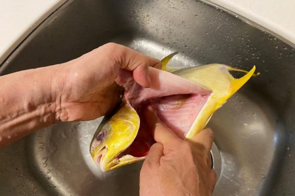 鱼体内的黑色内膜略带苦味，烹调或保存前建议先清除。