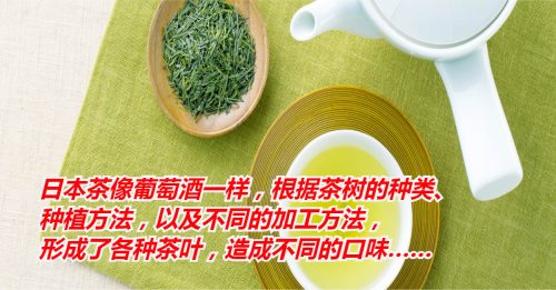 【好食材】日本茶 魅力探讨
