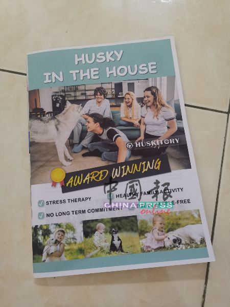 Husky in the House手册内含养狗必知的知识。