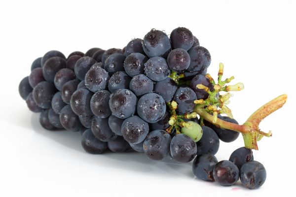 挑选葡萄应选整串颜色一致的葡萄，并观察葡萄果粒上有无白霜，因为白霜越多葡萄越新鲜。