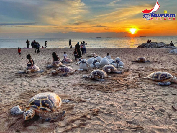 亚罗牙也市议会耗资2万令吉，以仿真海龟及海龟蛋吸引游客。（照片取自马六甲旅游促进部面子书）