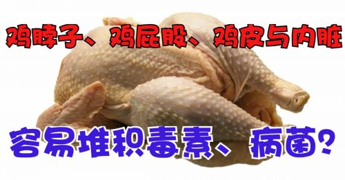 【好食材】鸡肉 是否含有禽流感病毒？