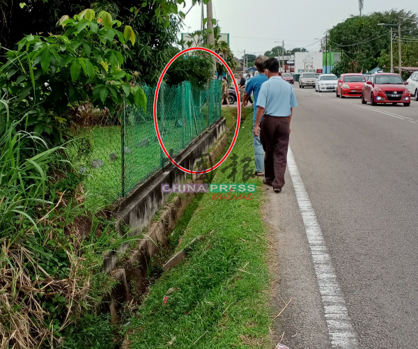 常有车辆撞入路边沟渠或围篱，导致围篱损坏（红圈）。