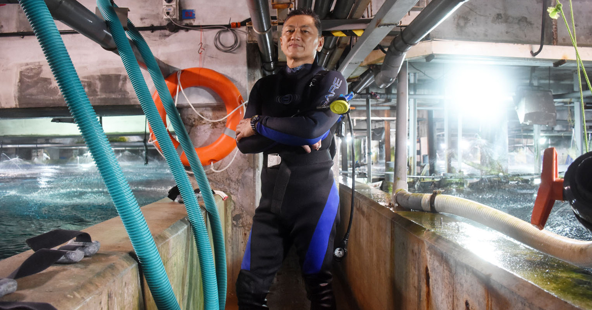 海底世界潜水员主管陈锦荣在2016年10月4日“搬鱼”时，遭魔鬼鱼的尾刺刺穿胸口送院不治。（档案照）