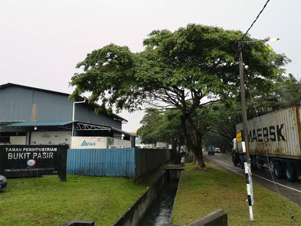 麻坡武吉巴西工业区工厂，近日爆发大规模冠病确诊。