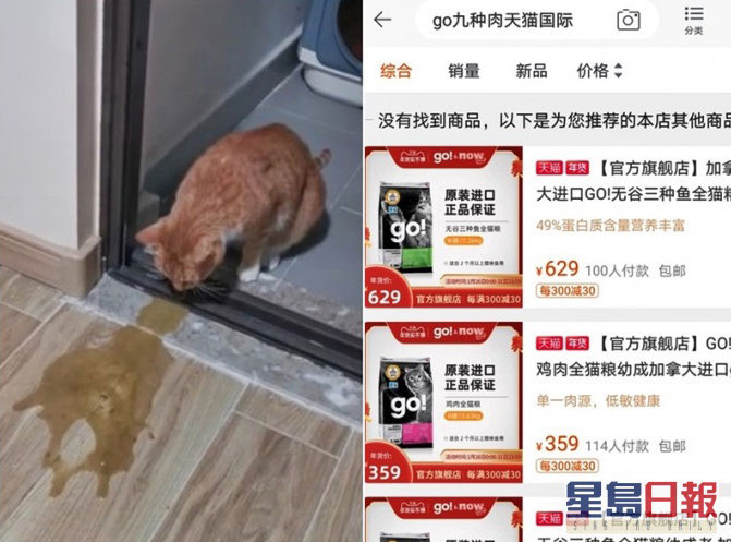 有网民上传猫咪吃了“go！九种肉猫粮”后呕吐。