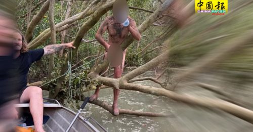 裸男身陷鳄鱼沼泽  被渔民救 揭真实身份