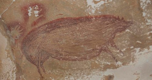 4万年前  全球最古老 印尼发现野猪壁画