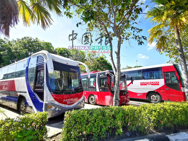 马六甲全景巴士（PANORAMA）9条巴士路线的服务，在行动管制令2.0期间如常。（档案照）