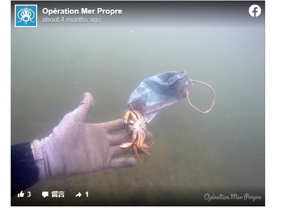 法国的非营利组织“海洋清洁行动”（Operation Mer Propre）去年9月在邻近地中海的咸水潟湖，发现一只困死于口罩里的螃蟹。