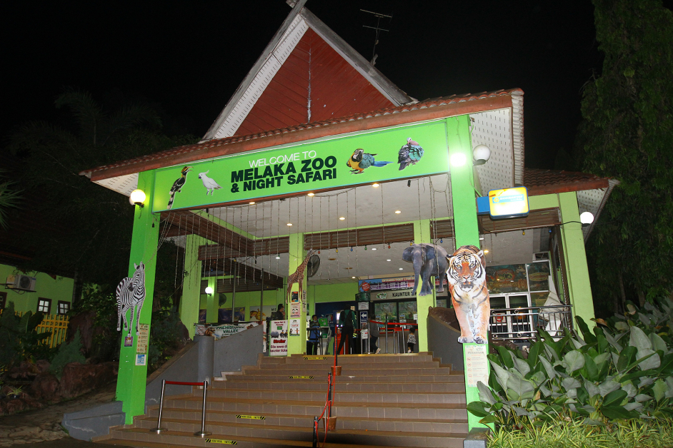 马六甲夜间动物园已在1月1日重新开放，首日迎来近500名访客。
