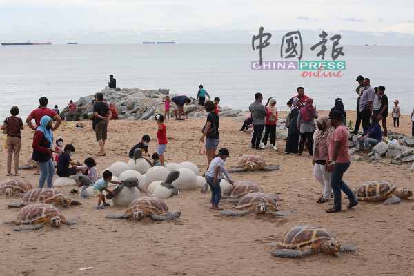如今马六甲最热门的景点非彭加兰峇叻海滩的海龟产卵莫属！