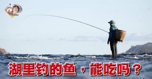 高佩瑶：湖里钓的鱼，能吃吗？