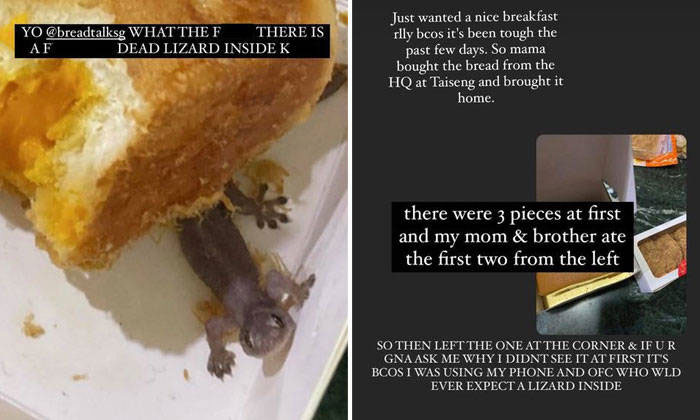 一名网友在Instagram限时状态分享，打包面包藏有死壁虎的恐怖经历。（取自STOMP网站）