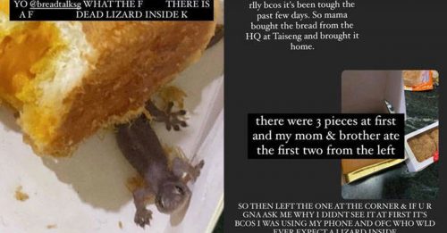 网友Instagram分享经历 面包下藏死壁虎