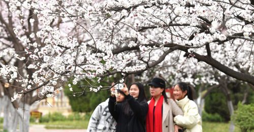 疫情冲击中国消费 春节旅游收入恢复不到60%