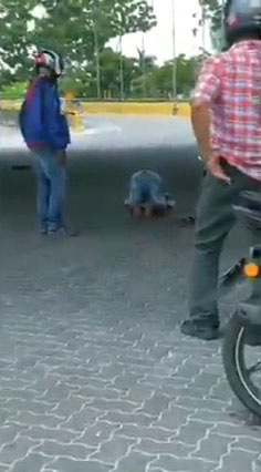 男子跪在路中央祈祷，吓坏道路使用者。