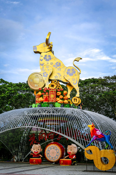 东禅寺最大旋转的大金牛主题花灯刷新大马记录大全。