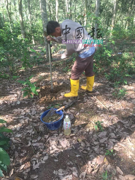 购地前，陈雄诚取土地样本以送往化验，确保适合无农药种植。