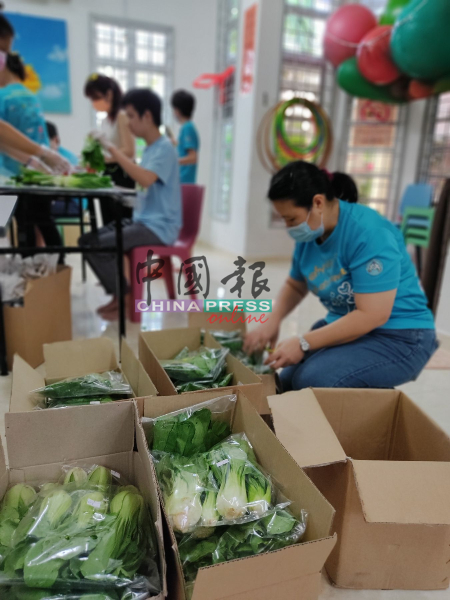 肯纳儿协会推出的“无农药蔬果箱”，让特殊青少年学员参与生产及包装的工作。