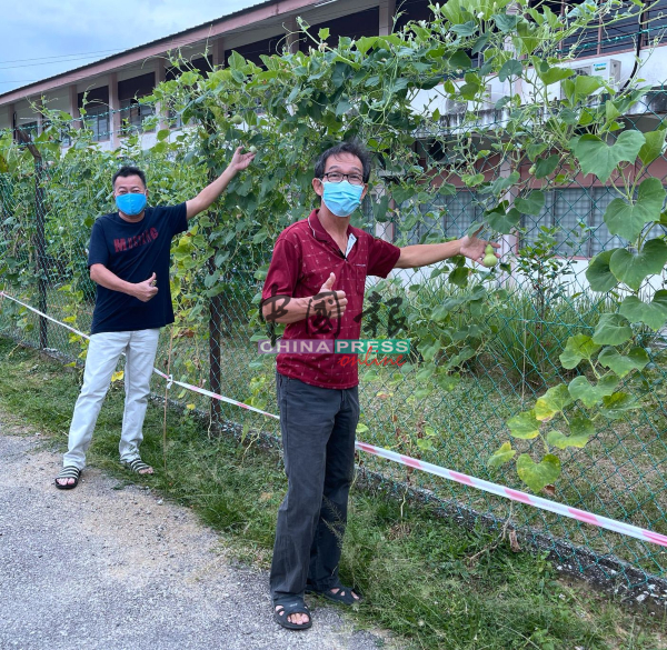 蔡文博（右起）与戴茂邦对于志工种植的葫芦，大力赞好。