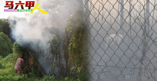 丛林失火事故频传   居民吁增设消防栓