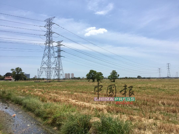 灌溉稻田的阿依峇株河水源变黑和发臭，导致武吉南眉一带的稻田受影响。