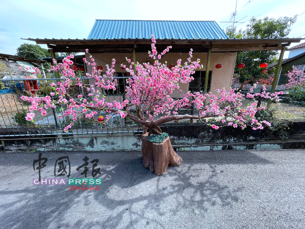 不同造型的梅花树通通派上用场为梅花街点缀。