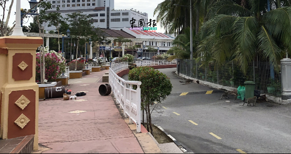 野猴仍旧出没甘榜摩登,翻垃圾桶里的食物。