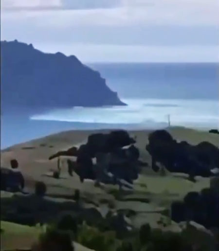 纽西兰克马得群岛外海发生规模8.1级强震，引发海啸来袭。（截自网络视频）